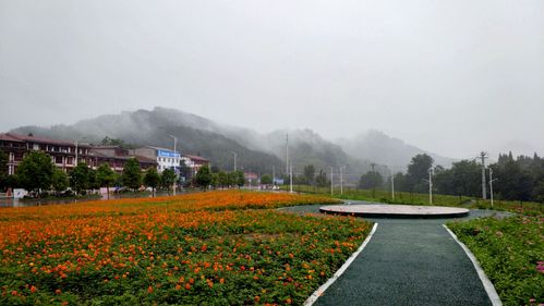 写美篇 近日,陕南最大移民安置点汉中宁强县高寨子街道办筒车河,花前