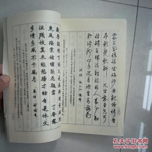 钢笔书法唐宋百家词楷行草多体梁鼎光钢笔字帖