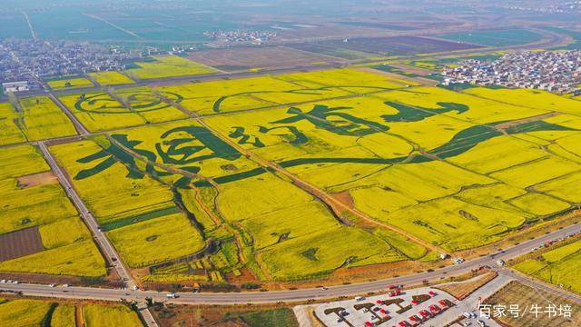 2020年3月18日,河南许昌,襄城县首山油菜花海(无人机拍照).