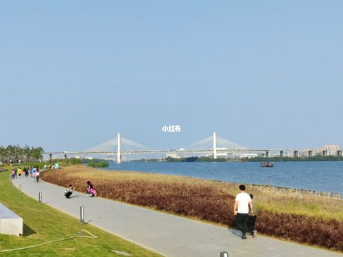 东莞滨海湾新区96东宝公园