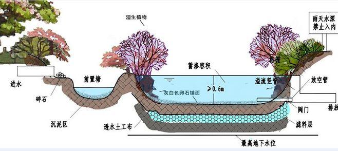 y-雨水花园-花瓣网|陪你做生活的设计师 | 度解析