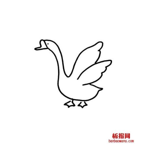 幼儿简笔画水中鹅