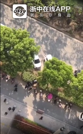 东阳发生命案!受害人为一名女性