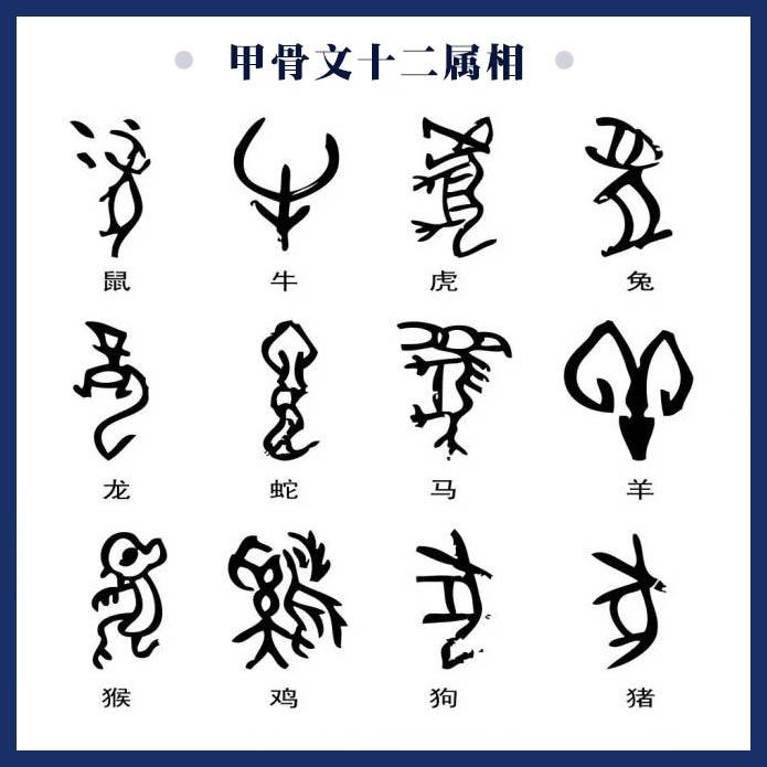 甲骨文发现120周年原来你是这样的甲骨文