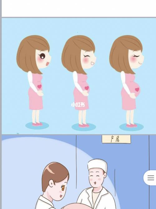 大班综合活动:我从哪里来【电子版】_幼儿园_幼儿_幼儿园教案_教育