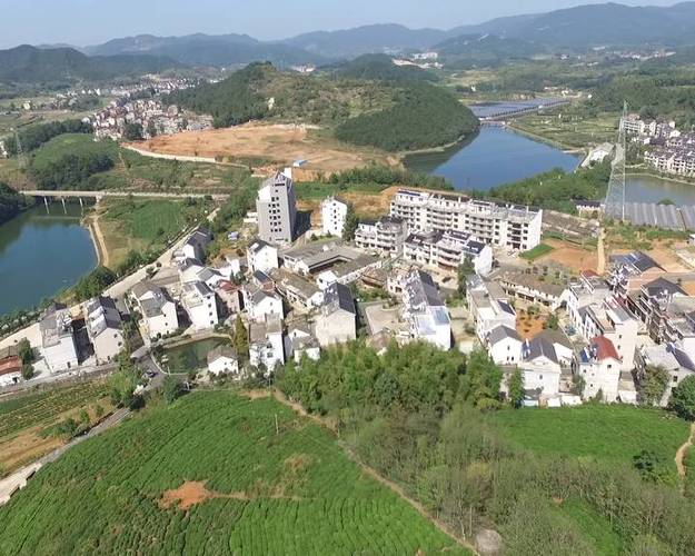 陈界村▲藤潭岗村通过来磐安感受山水景观,参与农事体验(农业观光园