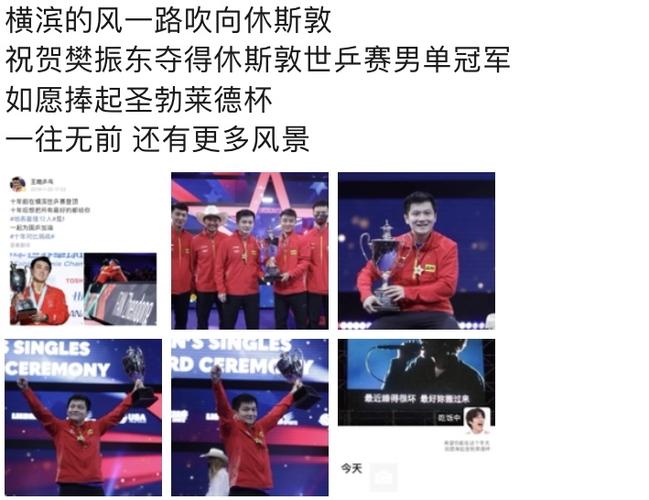 大家都油菜花06来自豆瓣app赞暴力熊猫樊振东转发了这篇讨论2021-11