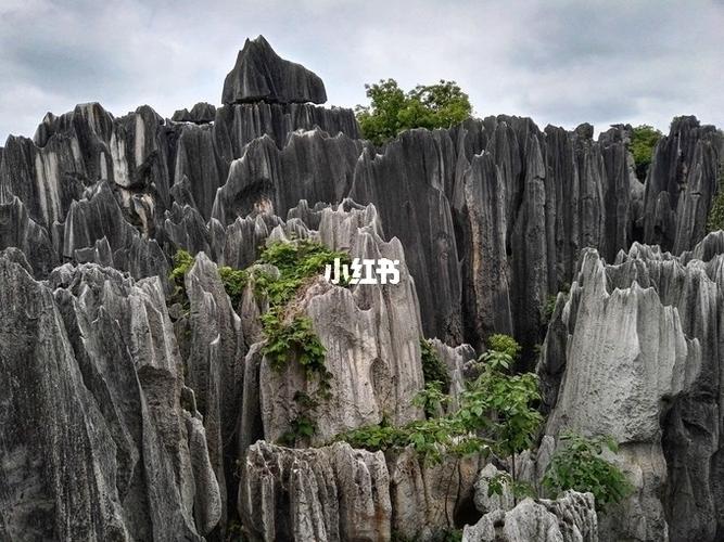 云南石林旅游攻略~一入石林深似海!