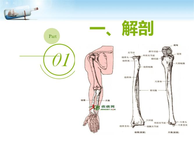 尺桡骨骨折诊治