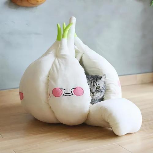 小猫咪睡了蒜头猫窝,那个,我不太懂啊,怎么院子里有这么多猫咪呀!