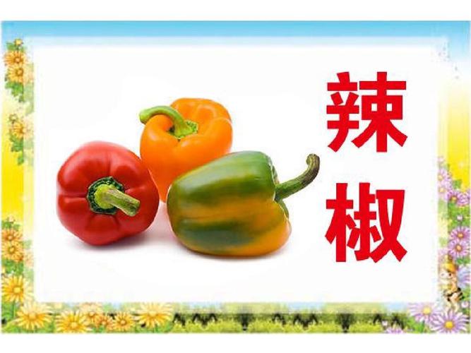 幼儿识字卡蔬菜篇ppt