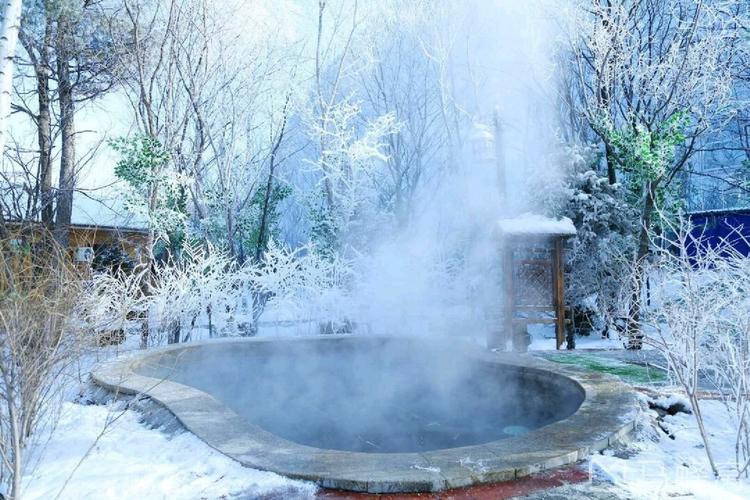 亚布力森林温泉以热带园林风光为温泉主题,分室内室外温泉,室外温泉