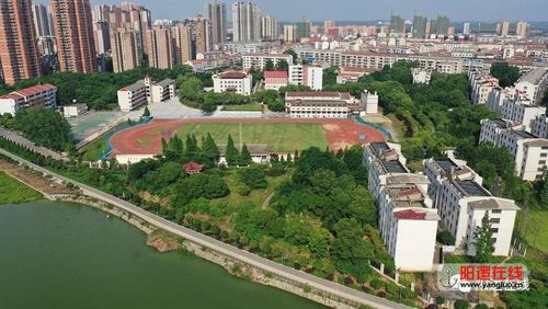 阳逻在线航拍2019新洲三中万人送考