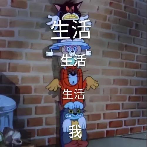 抖音热门表情包 i 野王 野王 排位吗 我贼稳!