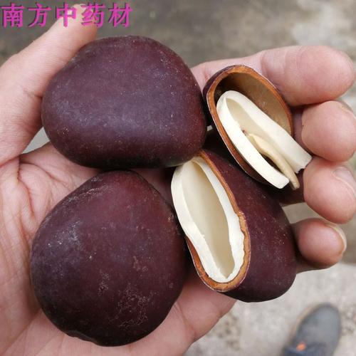阴阳子中药材宝肾果500克一斤过江龙子木腰子泡酒料肾树宝榼藤子