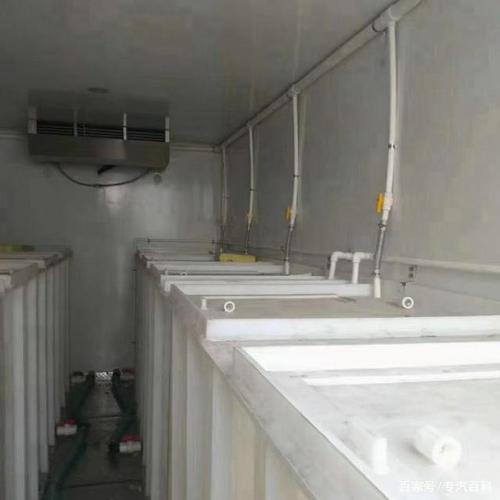 活鱼海鲜运输车图片