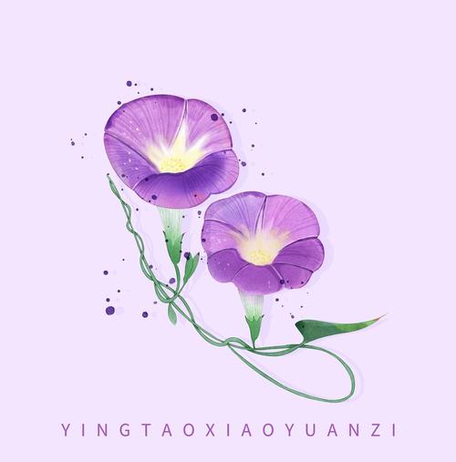 牵牛花_樱桃小媛子__插画师作品_涂鸦王国gracg.com