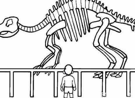 恐在化石简笔画