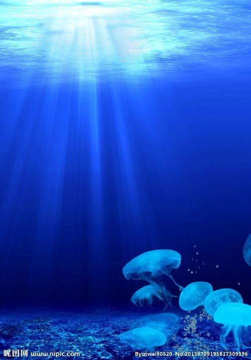 海底世界?水母?深海@北坤人素材