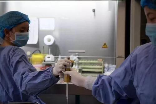 蜂王人工授精技术