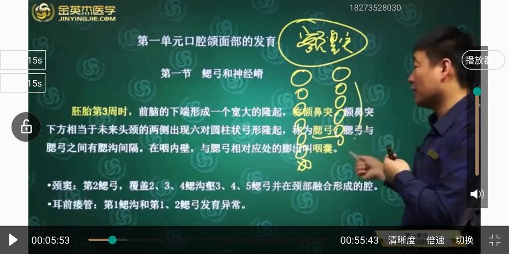 突----胚胎3周 2,侧鼻突,中鼻突,上颌突----4周 3,原始口腔,侧舌隆突