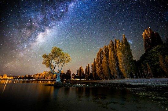 milky way over wanaka - picture of new zealand photography tours