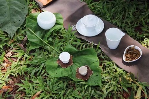 茶事|夏天如何摆茶席,入清凉地?