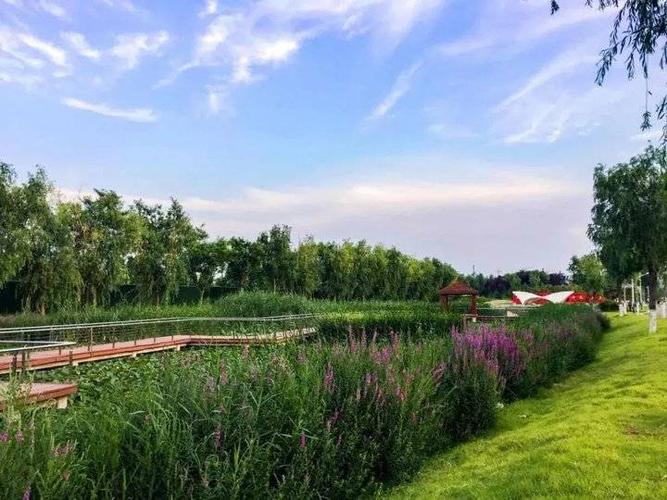 小湄河湿地公园是省级湿地公园,位于聊城市经济开发区长江路与庐山