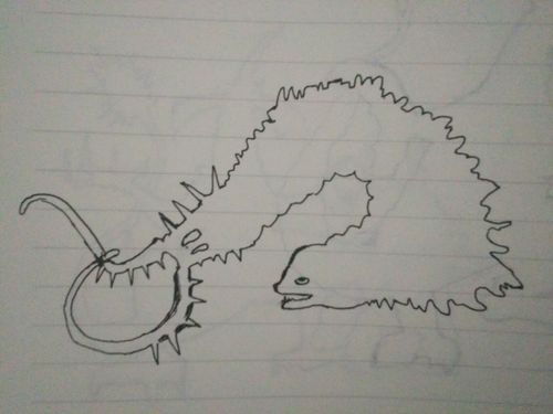 梦比优斯奥特曼怪兽描边绘画