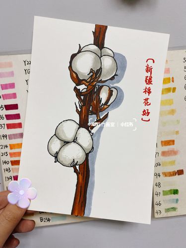 马克笔手绘—新疆棉花_手绘_马克笔_新疆棉花_文化
