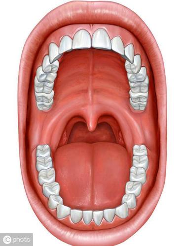 带你认识扁桃体的三度肿大