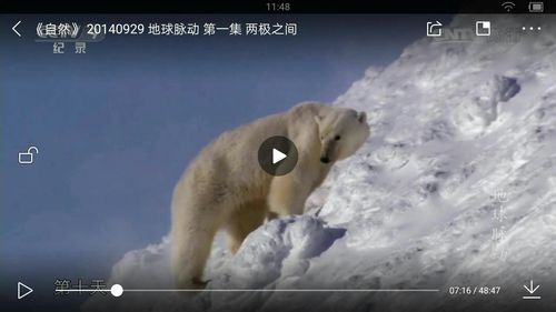 地球脉动――两极之间