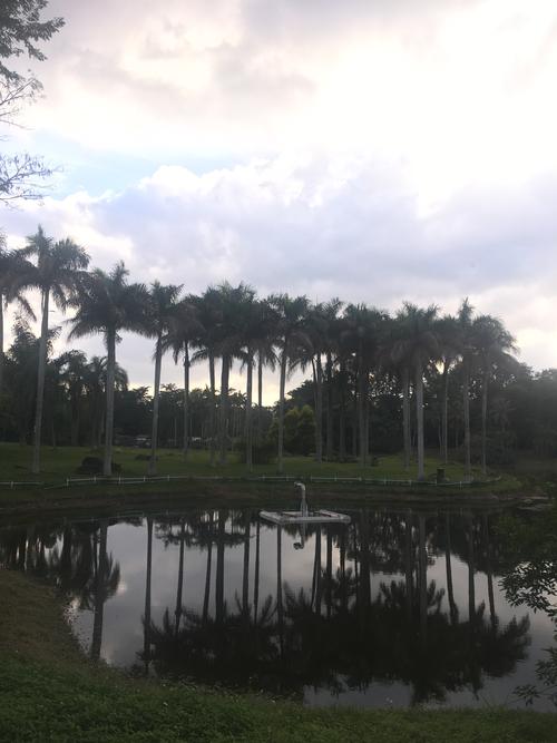 海南热带植物园(儋州区)