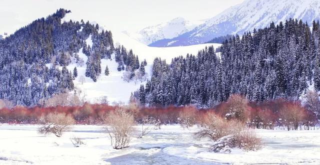 新疆雪景,惊艳全国