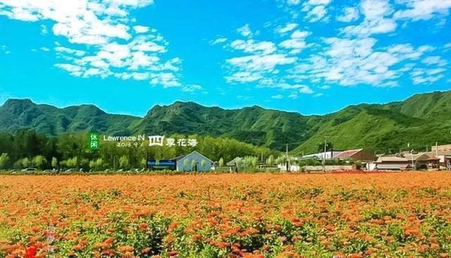 北京延庆"四季花海"