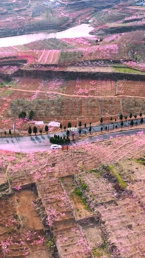 2021蒙阴旧寨桃花节