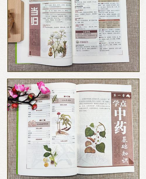 中草药大全彩色图解 中药材书籍大全 中药材识别图鉴书籍中医入门