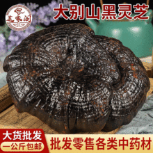 产地货源 大别山黑灵芝个 紫灵芝 散装现货 量大从优
