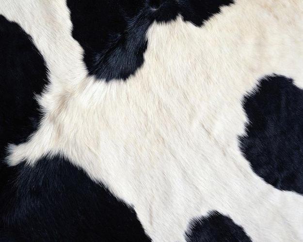 动物毛皮材质背景高清图片