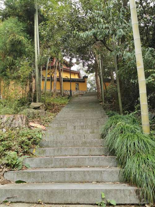 游临安玲珑山小记