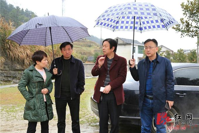 刘琼 摄   红网桃江县分站2月23日讯(通讯员 刘琼 詹国辉)2月21日