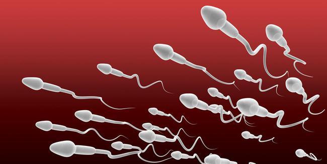 当人类精子与卵子成功结合时会释放锌焰火来庆祝咋回事