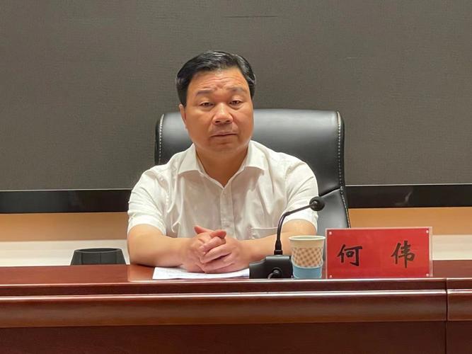 洛阳市委常委,组织部长何伟出席会议并讲话,市委组织部副部长薛雪玲
