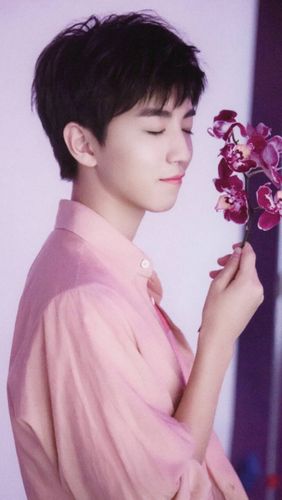 王俊凯生日会被提议仅唯粉可以参加,tfboys粉丝地位不