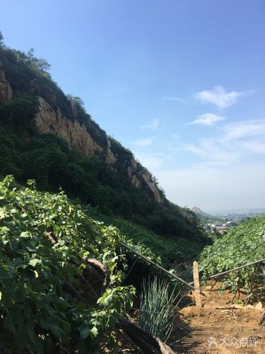 昌黎葡萄沟风景区图片 - 第83张