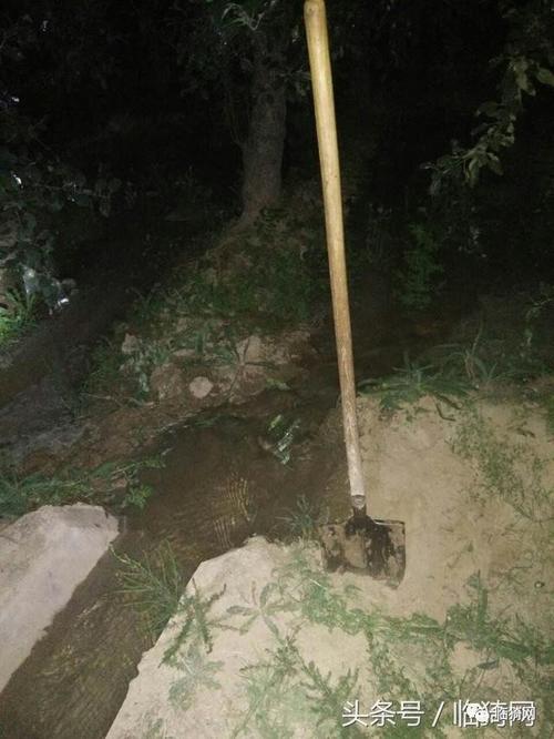 【乡情】临猗果农黑咕隆咚一人在果园浇地!