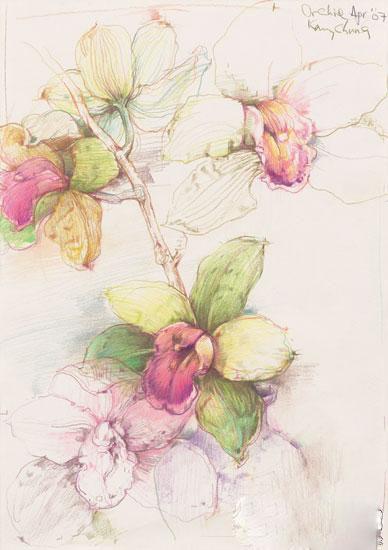 水溶性彩色铅笔主要是用来配合画水彩画的.