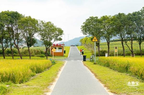 深圳光明小镇清明节开放吗