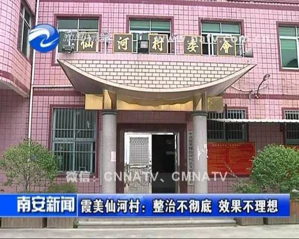 霞美镇仙河村人口近 9000人,其中有 60%左右的村民 从事花圃种植经营