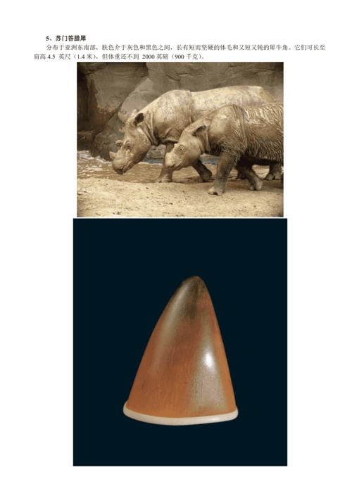 犀牛角的种类及鉴别方法